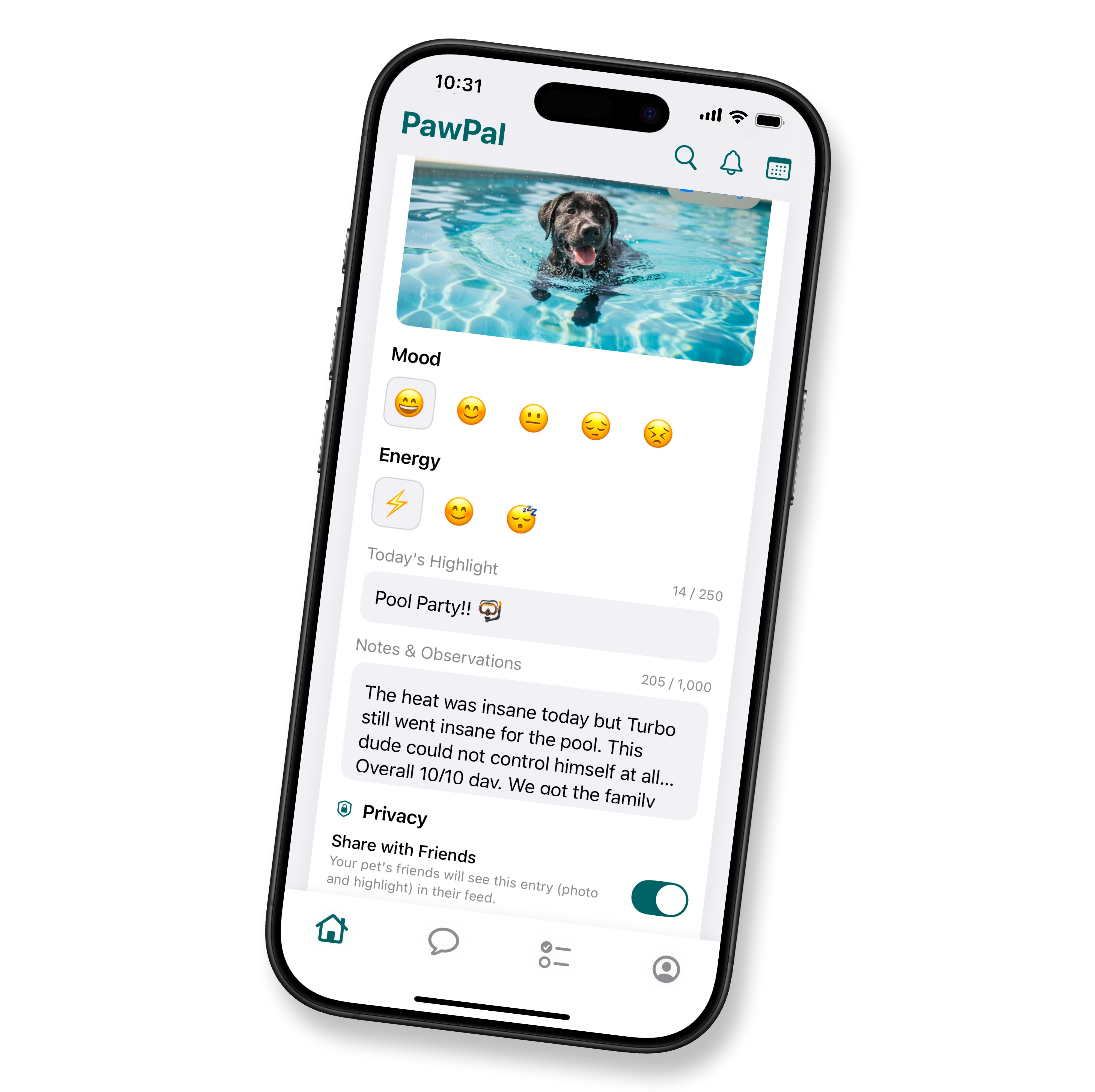 Daily diary entry and friends' feed - PawPal